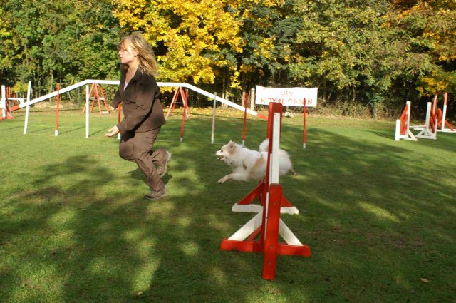 agility 2011-10-30